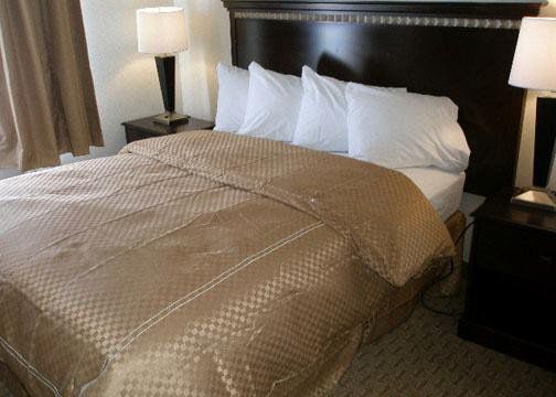 Hotel Comfort Jackson-cape Girardeau 3*